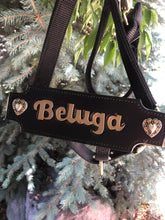 Load image into Gallery viewer, Custom Leather Noseband for Traditional Halter