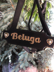 Custom Leather Noseband for Traditional Halter